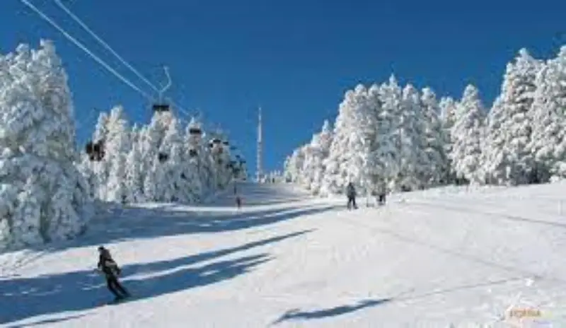 09-4a Bakuriani Skiing
