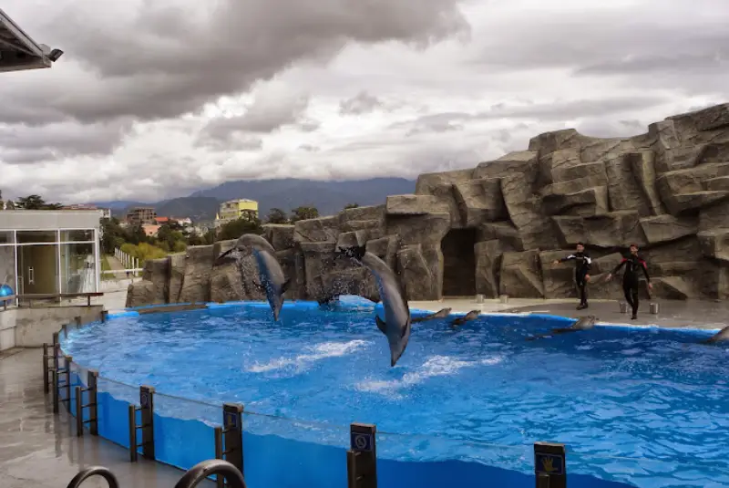 22-07b Batumi Dolphinarium