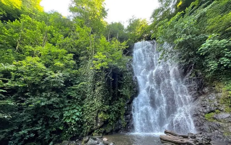 22-13a Mirveti Waterfalls